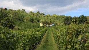 In betroffenen Gebieten wie Eisenberg laufen seit Wochen verstärkte Kontrollen.