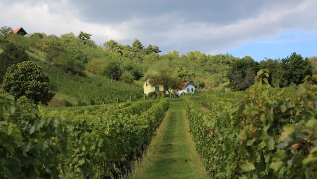 In betroffenen Gebieten wie Eisenberg laufen seit Wochen verstärkte Kontrollen.