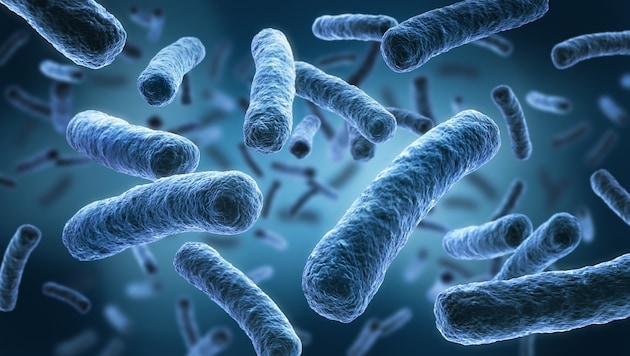 Einer der größten Legionellose-Ausbrüche in Österreichs ereignete sich im Frühjahr in ...