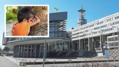 Im NÖ-Regierungsviertel in St. Pölten ist die Bestürzung groß. Ein Spitzenbeamter des Landes ...