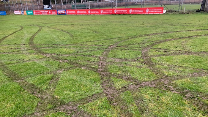 Der frisch sanierte Rasen wurde mit dem BMW „umgepflügt“.