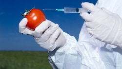 Die Kennzeichnungspflicht für gentechnisch verändertes Obst und Gemüse wird gelockert. 