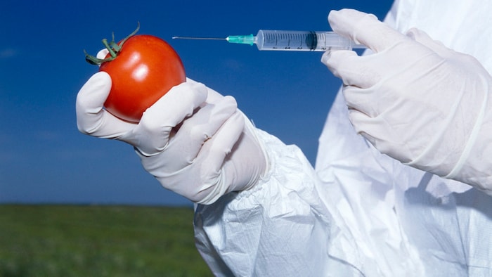 Die Kennzeichnungspflicht für gentechnisch verändertes Obst und Gemüse wird gelockert.