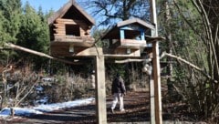 Diese netten Vogelhäuschen haben einen Streit zwischen Gemeinde und Bürgern entfacht.