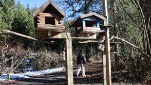 Diese netten Vogelhäuschen haben einen Streit zwischen Gemeinde und Bürgern entfacht.