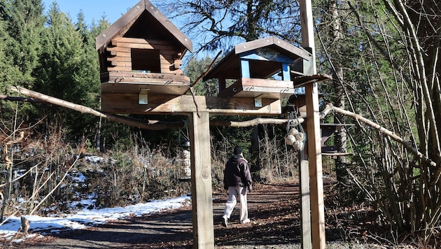 Diese netten Vogelhäuschen haben einen Streit zwischen Gemeinde und Bürgern entfacht.