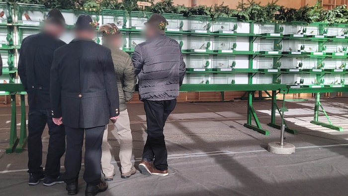 Bei der Verbandsausstellung zum Ende der Fangsaison werden die prächtigsten Vögel der Region in ...