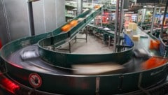 In Salzburg werden in den Verteilzentren in Wals und Thalgau in der Weihnachtszeit 100.000 ...