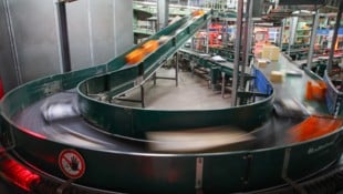 In Salzburg werden in den Verteilzentren in Wals und Thalgau in der Weihnachtszeit 100.000 ...