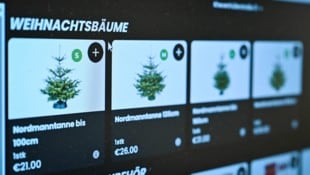 Markus Wenzel Auf ninjas.jetzt kann man sich im heurigen Advent den Christbaum inklusive Zubehör bestellen.