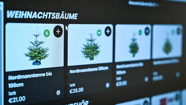 Auf ninjas.jetzt kann man sich im heurigen Advent den Christbaum inklusive Zubehör bestellen.