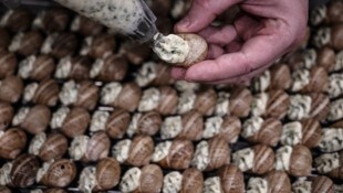 Schnecken gelten in Frankreich besonders zu Weihnachten als beliebte Speise.