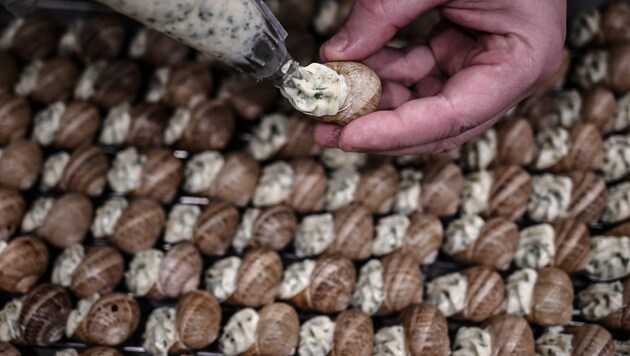 Schnecken gelten in Frankreich besonders zu Weihnachten als beliebte Speise.