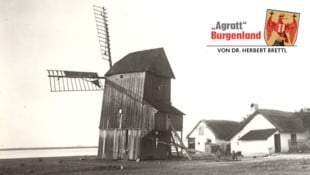 Die Windmühle von St. Andrä vor 1941.
