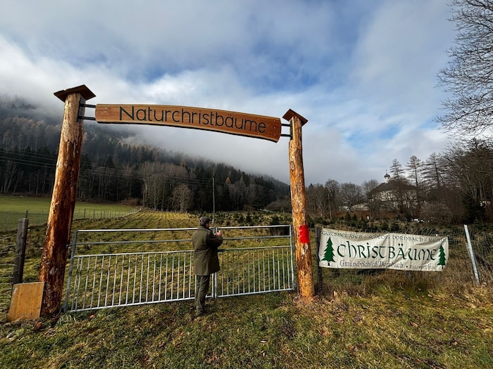 Die Familie Irsa setzt beim Anbau auf Natur. Pflanzenschutzmittel und Dünger werden nicht ...