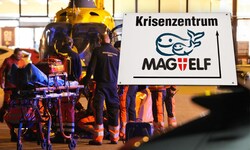 Mit einem Hubschrauber wurde das schwerstverletzte 15-jährige Mädchen nach der Messerattacke ...