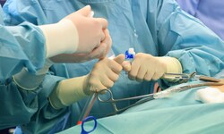 Zuletzt gingen die Zahlen bei Gastpatienten in Wien zurück – doch politisch eskaliert die Lage 