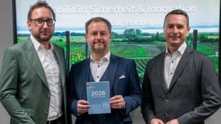 SPÖ-Trio: Finanzsprecher Jürgen Dolesch, Klubobmann Roland Fürst und Klubvorsitzender Robert ...