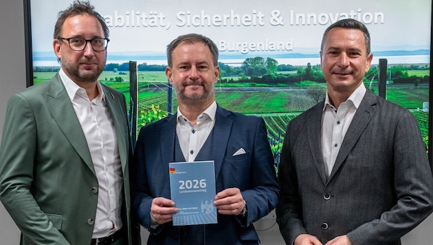 SPÖ-Trio: Finanzsprecher Jürgen Dolesch, Klubobmann Roland Fürst und Klubvorsitzender Robert ...