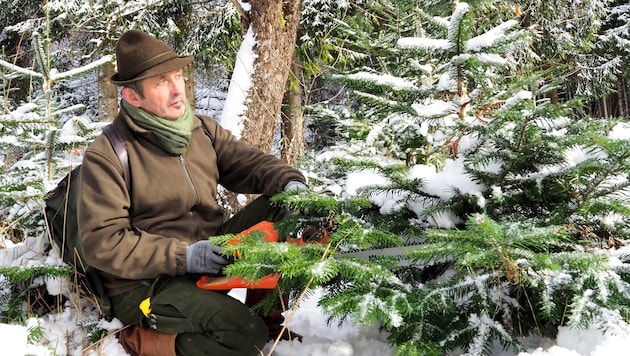 Kaum ein Waldhüter kennt die im Nadelgrün schlummernden Geheimnisse so gut wie der engagierte ...
