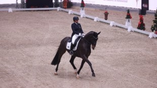 Künftig für Ungarn am Start: Porsche