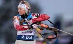 Lisa Hauser
