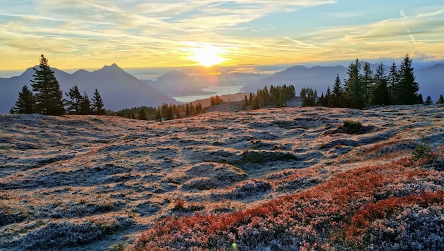 Das Wetter präsentiert sich die kommenden Tage vor allem in den Bergen mild und sonnig.