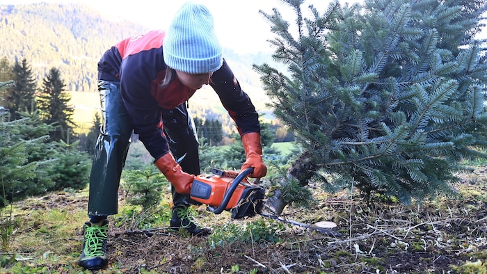 Auch die Redakteurin durfte einen Baum fällen.