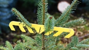 In Bayern wollte eine Frau ihren Christbaum über den Balkon entsorgen, dieser traf jedoch eine ...