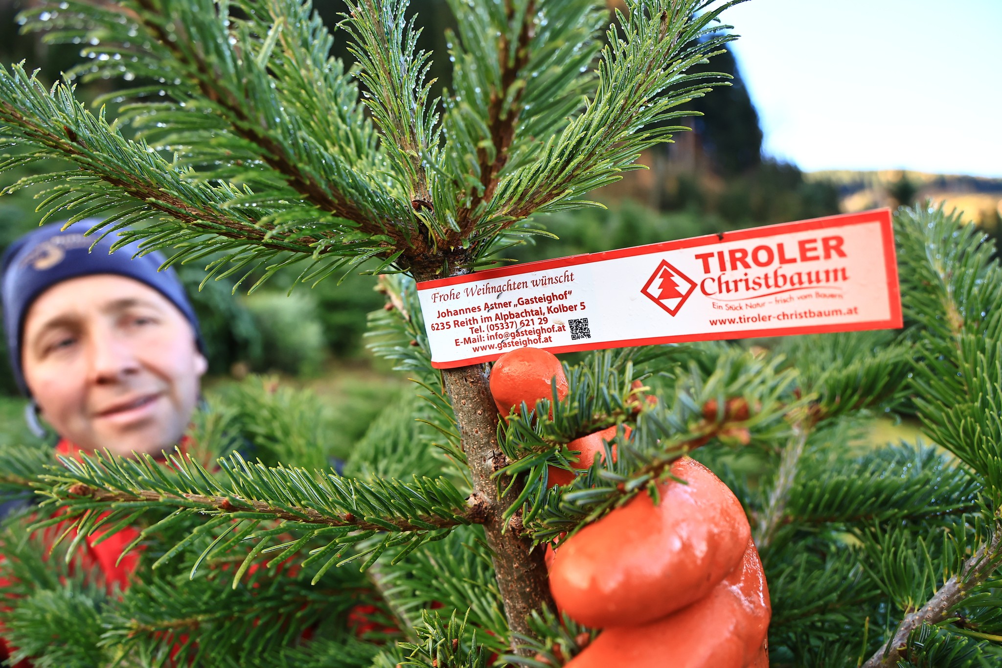 Die echten Tiroler Christbäume sind unübersehbar gekennzeichnet.