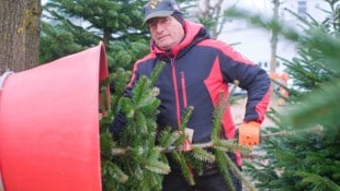 Eberhard Bauer ist seit mehreren Jahren Verkäufer bei „Tannentraum“ in Linz. Schon seit 2. ...