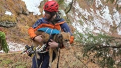 Der Hund und sein Frauchen kamen heil wieder ins Tal. 