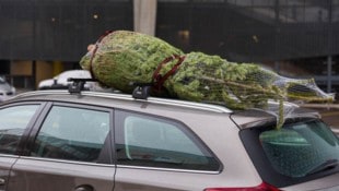 Demnächst steht in vielen Haushalten der Christbaumkauf an.