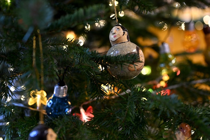 Ein festlich geschmückter Baum gehört für viele zum Weihnachtsfest.