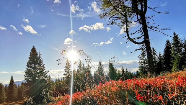 Am Mittwoch zeigt sich der Herbst noch einmal von seiner freundlichen Seite: Viel Sonne und bis ...