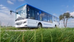LEOpoldi-Busse des Landes lösen die roten Stadtbusse in Ybbs ab.