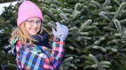 Einen schönen Baum zu finden, ist nicht das Ende vom (Weihnachts)lied.