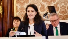 Grünen-Chefin Sandra Krautwaschl sieht nach einem Jahr blau-schwarze Landesregierung viele ...