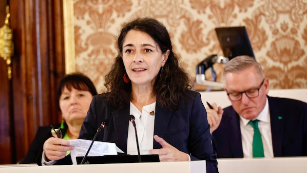 Grünen-Chefin Sandra Krautwaschl sieht nach einem Jahr blau-schwarze Landesregierung viele ...