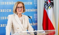 Die Regierung habe den Patientanwalt ersucht betroffene Niederösterreicher zu beraten. 