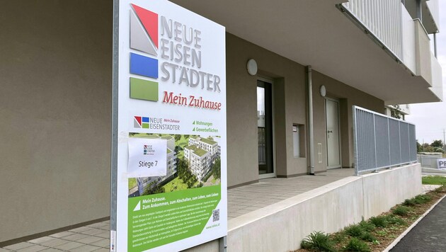 In einem Monat steht die Wohnbaugesellschaft Neue Eisenstädter im Fokus des U-Ausschusses.