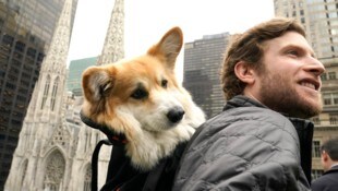 Dieser Mann wird oft mit Hund im Rucksack in New York gesichtet.