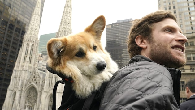 Dieser Mann wird oft mit Hund im Rucksack in New York gesichtet.