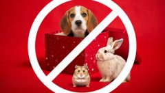 Keine schöne Bescherung für Vierbeiner. 