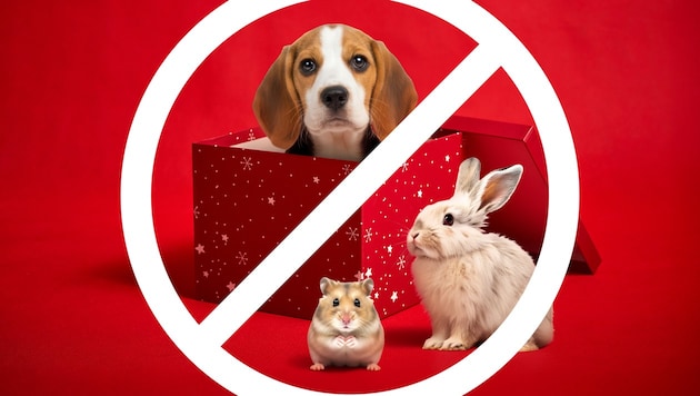 Keine schöne Bescherung für Vierbeiner.