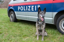 Auch Diensthundestreifen kamen zum Einsatz (Symbolbild).