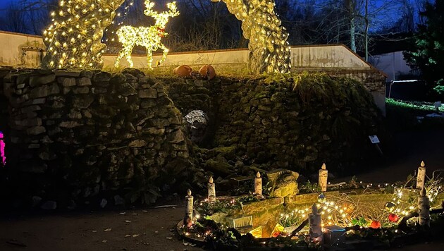 Der Englische Garten im weihnachtlichen Glanz