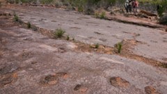 Die Forschungsarbeiten nahmen sechs Jahre in Anspruch.