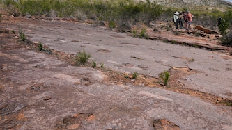 Die Forschungsarbeiten nahmen sechs Jahre in Anspruch.