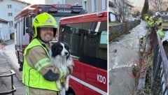 FF-Kommandant Stefan Lentner brachte das Tier ans Ufer (li.), nachdem es auf einem Stein im ...